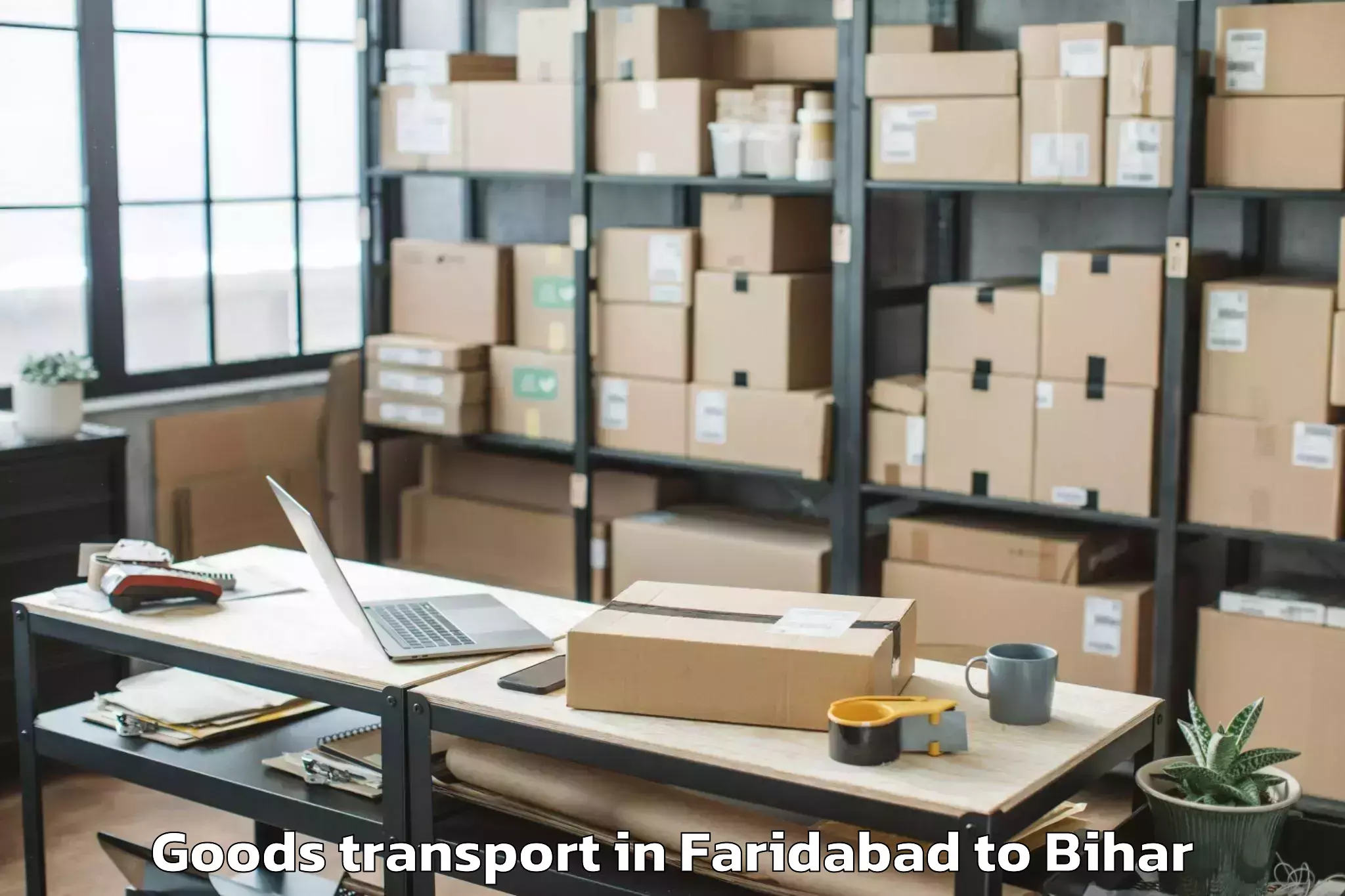 Discover Faridabad to Bela Goods Transport